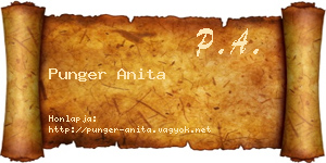 Punger Anita névjegykártya