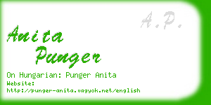 anita punger business card